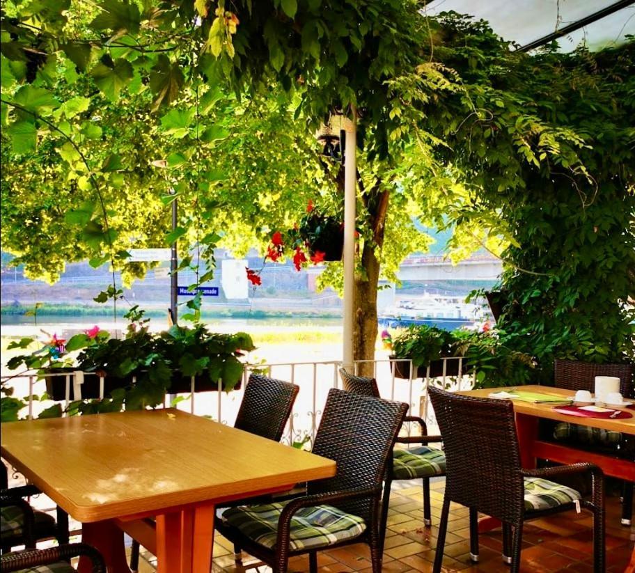 Hotel Krone Riesling Тритенхайм Екстериор снимка