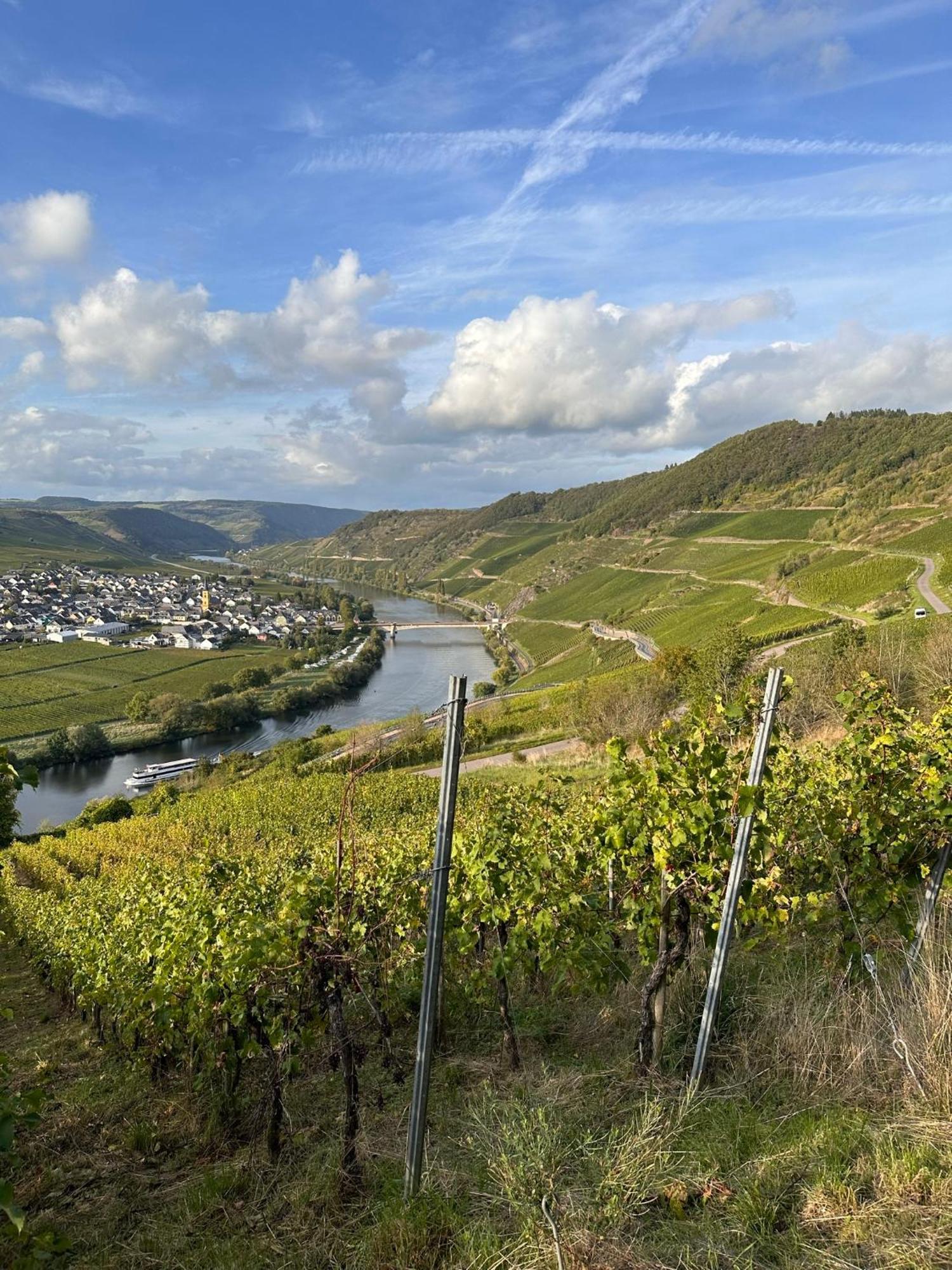 Hotel Krone Riesling Тритенхайм Екстериор снимка